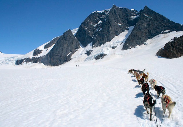 Dog Sledding in Alaska