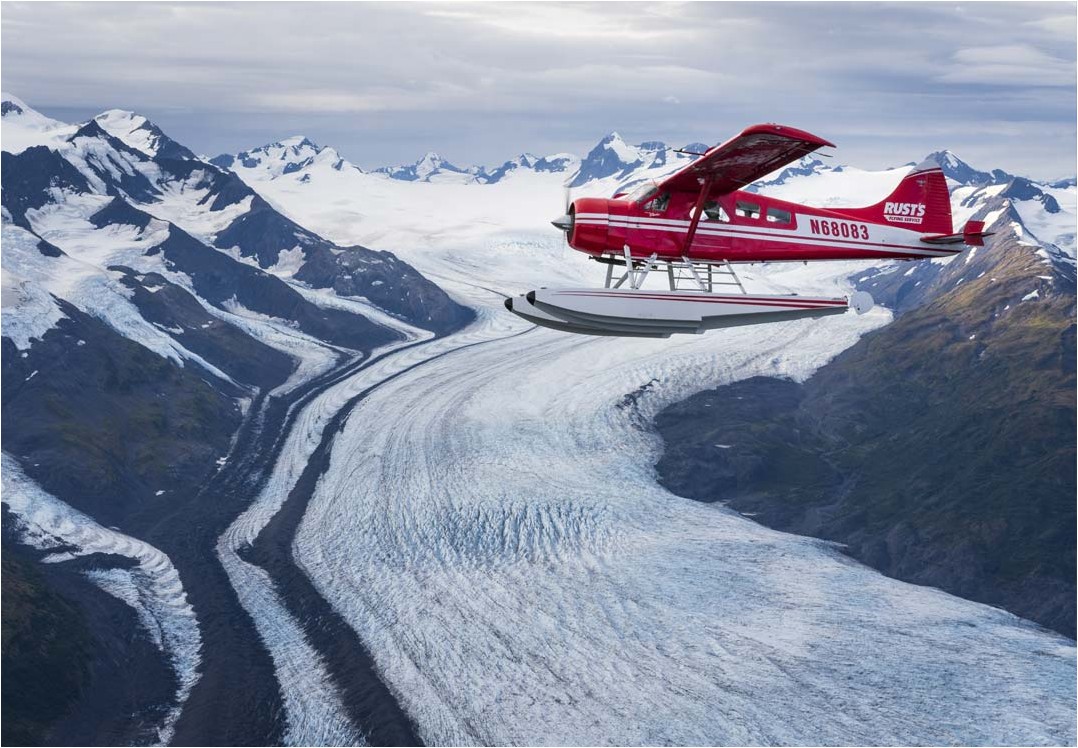 Anchorage Glacier And Wildlife Flightseeing Tour Alaska Shore Excursions