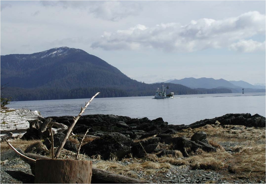 Ketchikan Potlatch Park, City and Wildlife Private Tour Alaska Shore