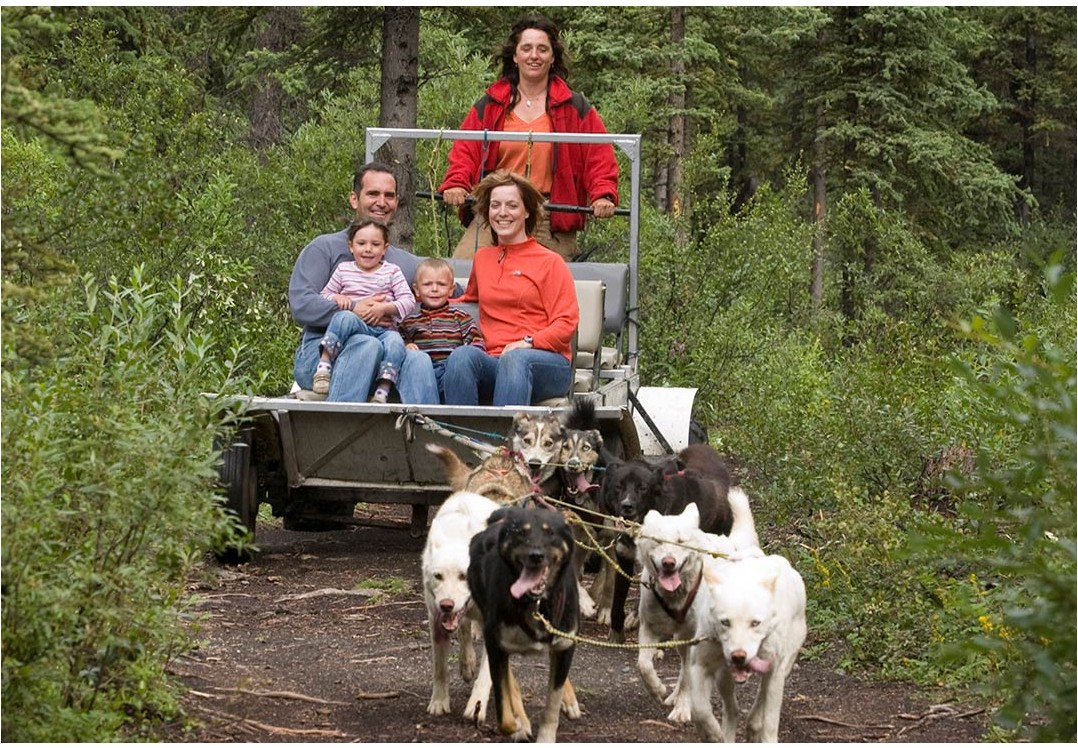 Skagway Musher's Camp and Sled Dog Adventure | Same Day | Alaska Shore ...