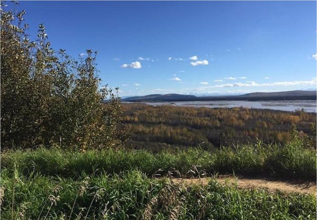 Fairbanks Table Top Mountain Hike Alaska Shore Excursions