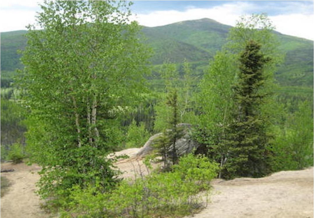 Fairbanks Table Top Mountain Hike Alaska Shore Excursions