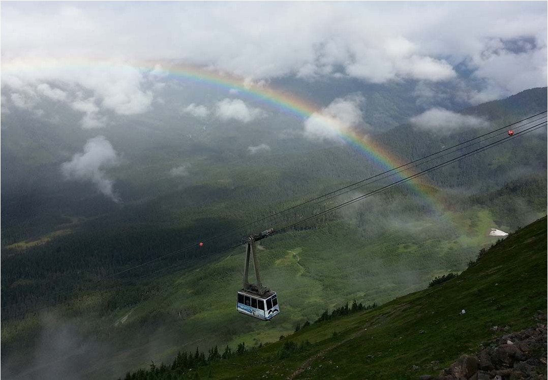 Seward To Anchorage Bus With Scenic Tour | Alaska Shore Excursions