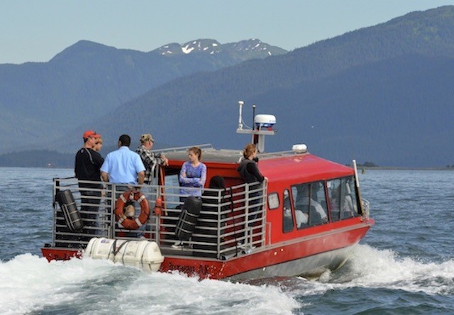 southeast alaska whale watching