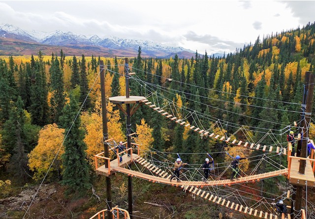 zipline tour